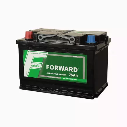 FORWARD Green - 75 (п.п.) FORWARD Green - 75 (п.п.)